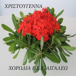 Μέσα στις Καρδιές μας Ειρήνη