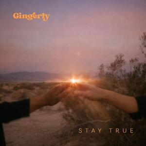 Stay True (feat. B O K E H & Dario lessing)