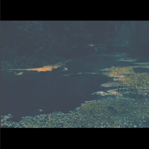 Until Mercury burns, my love will be eternal