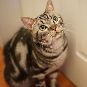 再次重逢的世界