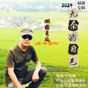 无奈的自己 (伴奏)