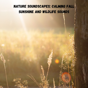 Feels like Rain in the Air