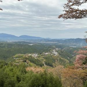 未来への一歩(World Peace Song)