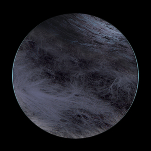 Like A Plucked Flower