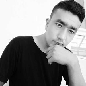 DikaBiR(KORG) 伴奏