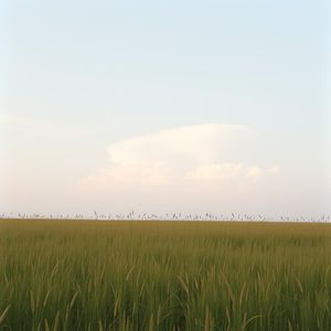 暴风骤雨急板
