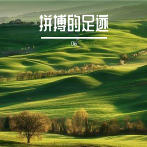 拼搏的理想