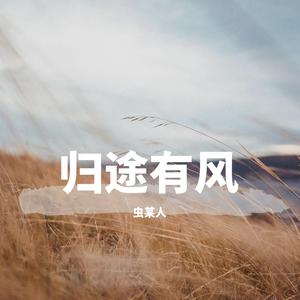 归途有风 （温柔女声）