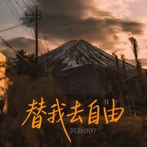 替我去自由
