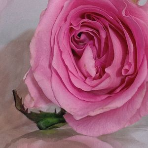 壹贰零肆(Prod.By 4Hunnid)