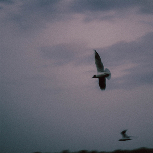 Последняя сигарета в пачке