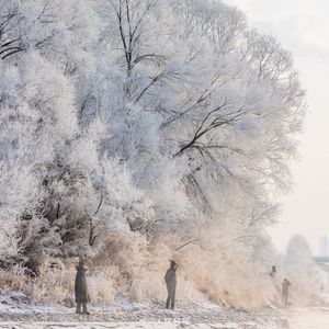 12.31