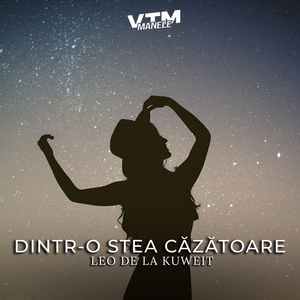 Dintr-o stea căzătoare