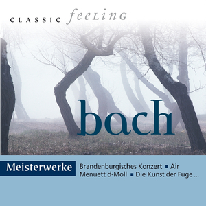 Brandenburgisches Konzert No. 4 in G Major, BWV 1049: III. Presto in G Major