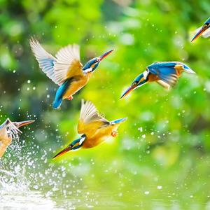 432 Hz Floating In Space (Reiki)