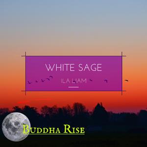 White Sage