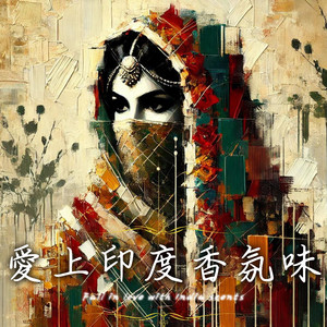 光影交错印度之夜