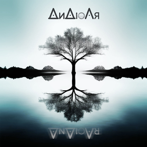 В отражении