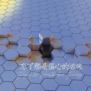 忘了那是伤心的滋味