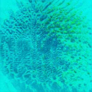 In Kelvin's Distance (with Ian Epps)