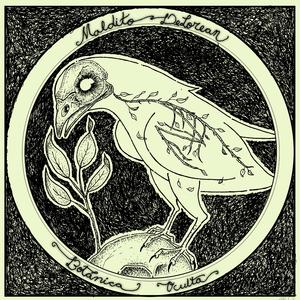 Hoja de Lata (feat. Rompiste Mis Flores)