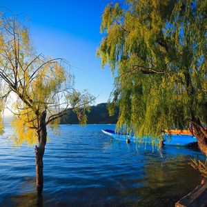 对你的思念 伴奏