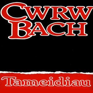 Tywysoges
