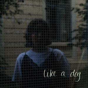 Like A Dog