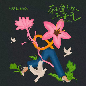 轻盈的人 不等风