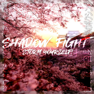 Shadow Fight (Storm Yourself)