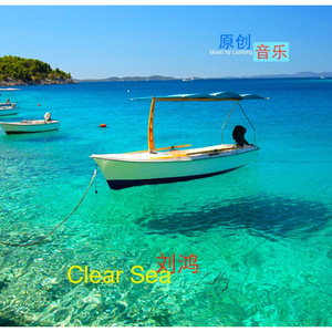 The morning of the forest森林的早晨