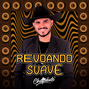 Revoando Suave