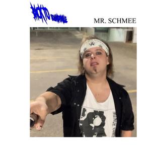 Mr. Schmee