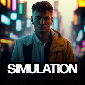 Simulation