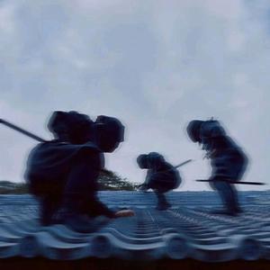 我要验牌 (法国口音)