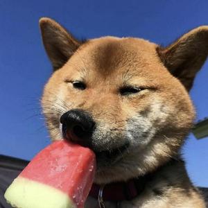 The Unfaithful Ways-Trouble_I'm_In_（面壁者罗辑 remix）