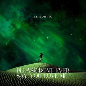 Please don't ever say you love me