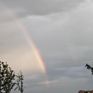 为什么不接电话