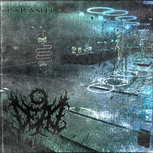 Parasite
