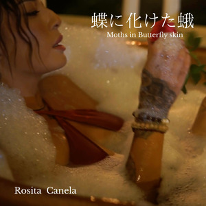蝶に化けた蛾