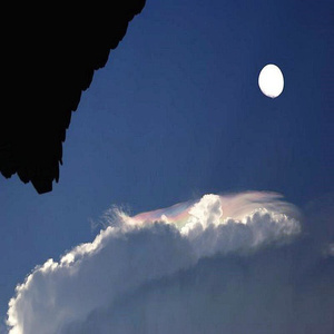 在那银色月光下