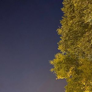 一文不值的一生（my worthless life）