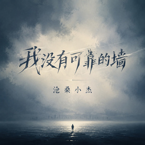我没有可靠的墙