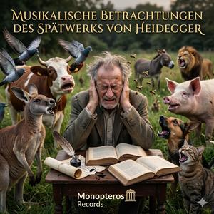Musikalische Betrachtungen des Spätwerks von Heidegger
