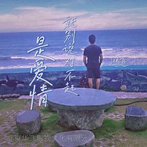 是爱情就别说对不起 伴奏