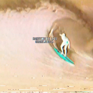 gallo pinto (flytape mix)