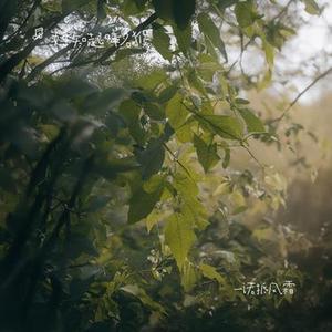 一诺抵风霜