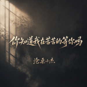 你知道我在苦苦的等你吗
