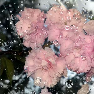 沉沦