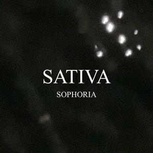 Sativa : Sophoria